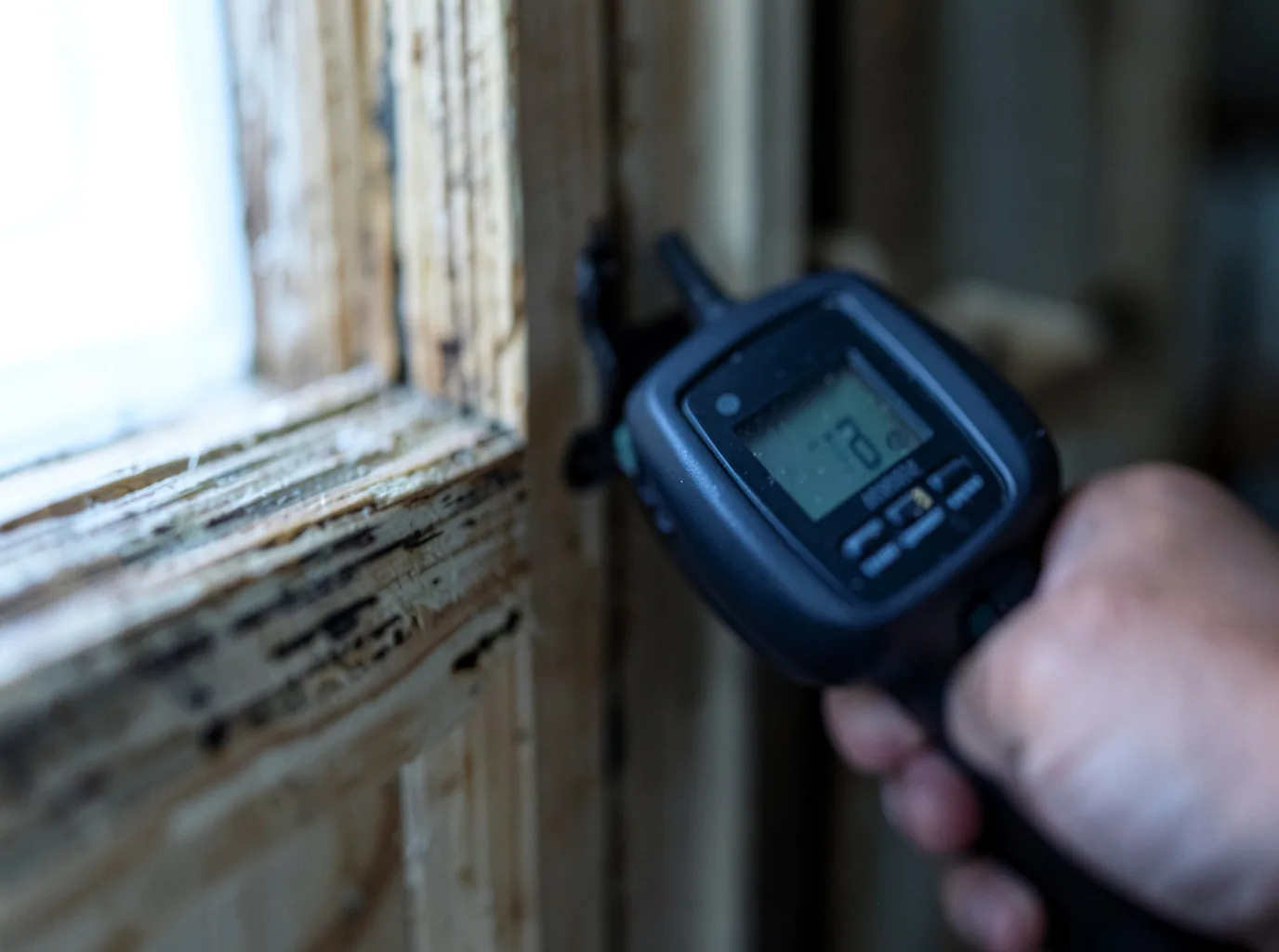 Moisture Inspection And Documentation in Winston, NM